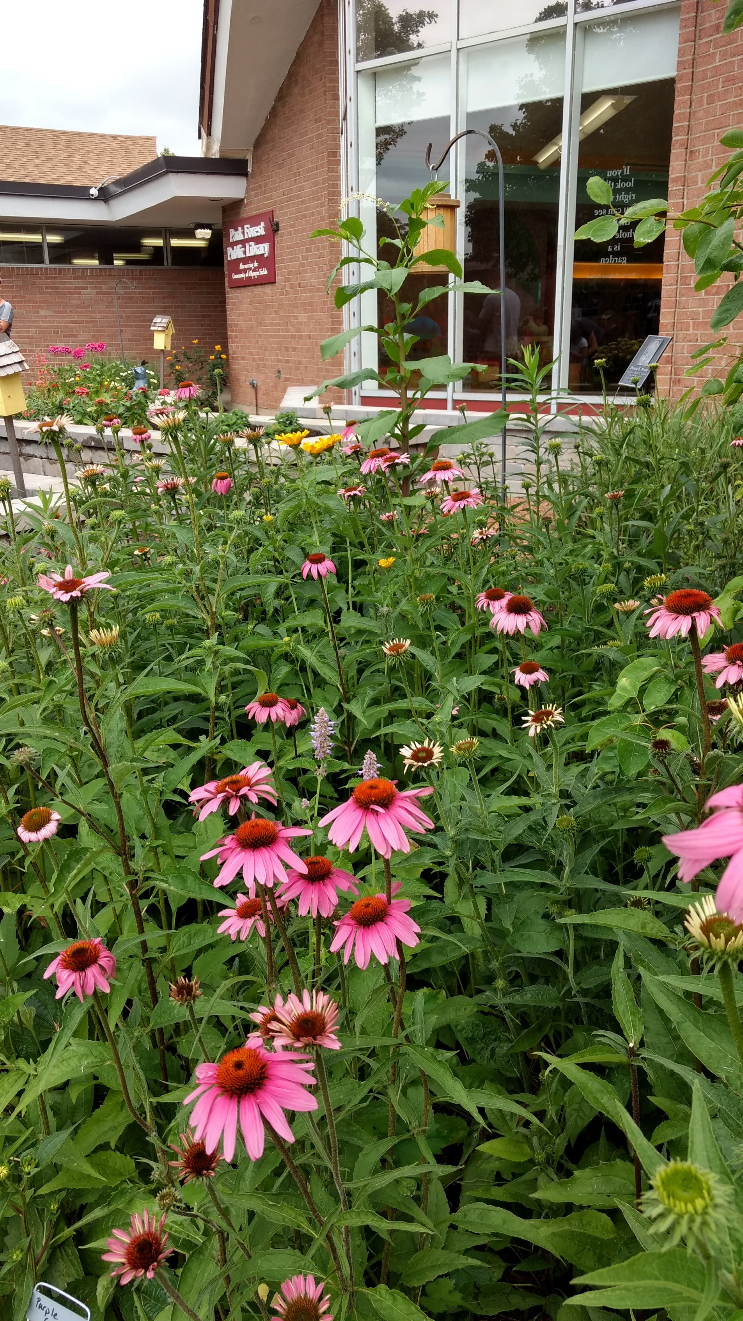 IMG_20170623_104701269_HDR